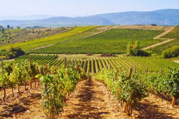 Pèlerinage à Compostelle - Chemin Classique «Marcher avec son Dieu» en août 2027 en petit groupe accompagné | Spiritours