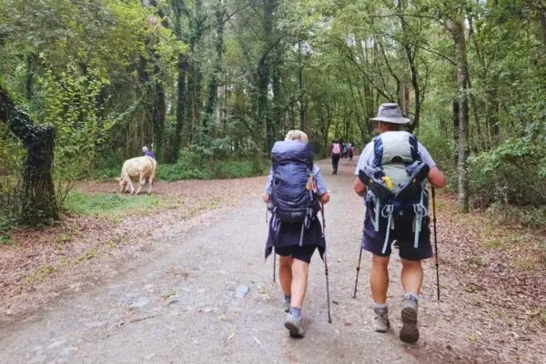 Pèlerinage à Compostelle - Chemin Classique «Marcher avec son Dieu» en août 2027 en petit groupe accompagné | Spiritours
