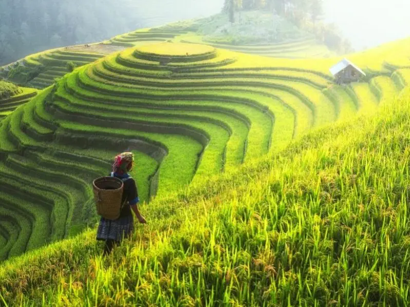Circuit-retraite au Vietnam «Charmes et Trésors d’Orient» en novembre-décembre 2027 | Spiritours