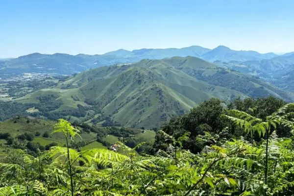 Voyage à Compostelle - Camino Francés «En marche vers soi» en groupe accompagné en mai 2027 | Spiritours