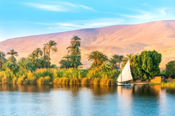 Voyage d eressourcement en Égypte, felouque sur le Nil devant les palmiers