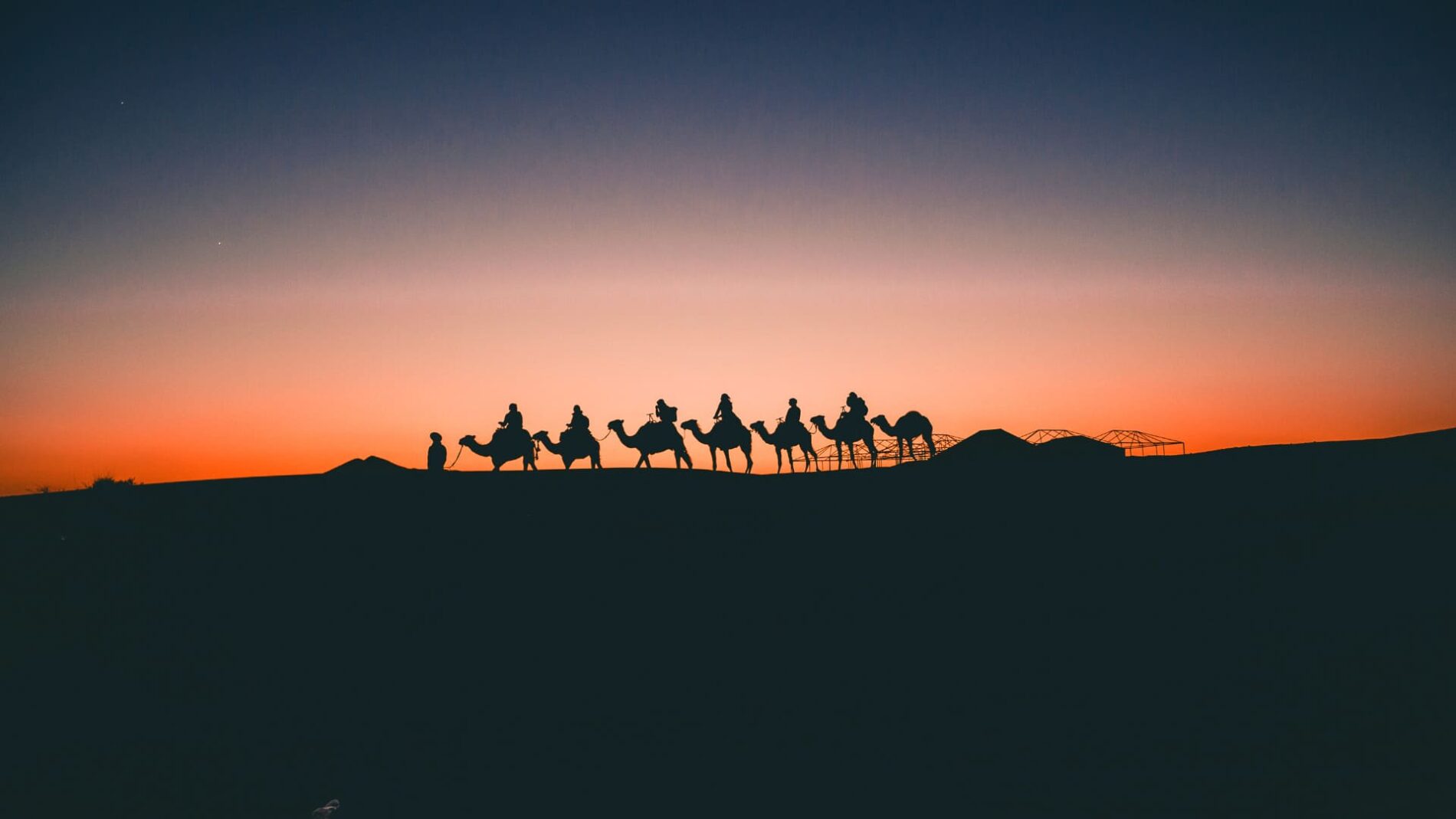 silhouette de méharée dans le désert du sahara sur un fond de coucher de soleil