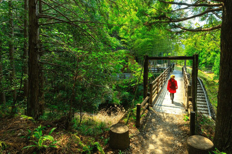 femme japonaise habillée en rouge qui marche sur un pont dans un forêt au Mont Koyasan au Japon