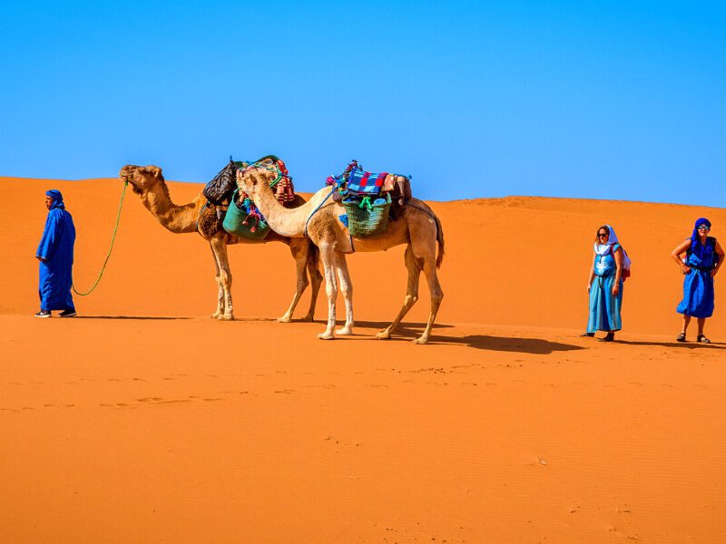 desert au sahara au maroc chameliers méharrée