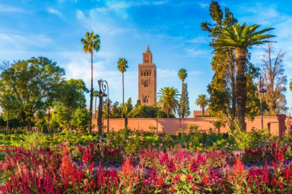 ville de marrakech au maroc avec des palmiers et des fleurs