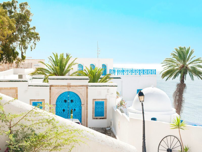 ville en tunisie au bord de la mer