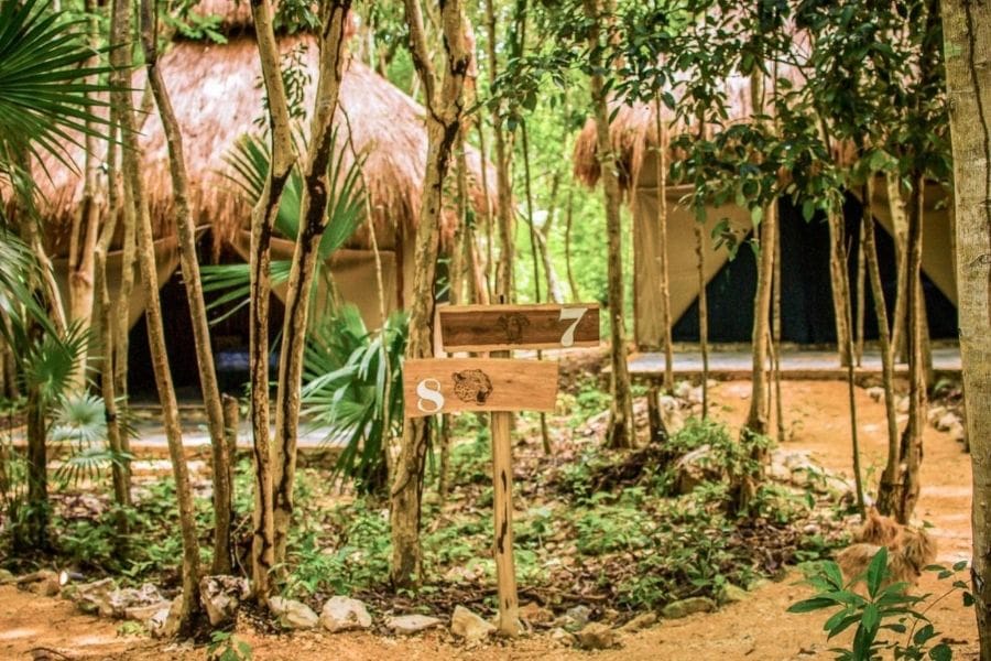 Akumal Natural Glamping | Rejuvenating trip to Mexico in March 2026 | Spiritours